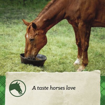 Image showing 8 th Nutrena SafeChoice Molasses-Free Pelleted Senior Horse Feed, 50 lb. Bag