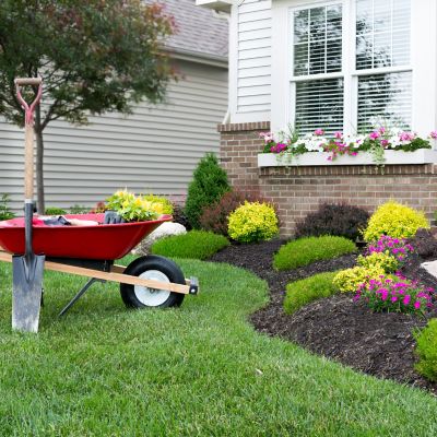 Image showing  40 lb. Flowering Plant Special Fertilizer 14-14-14