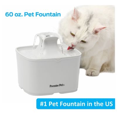 Cat drinking fountain walmart hotsell