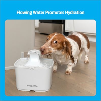 Image showing  60 oz. Plastic Pet Water Fountain