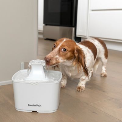 Image showing 9 th Premier Pet 60 oz. Plastic Pet Water Fountain