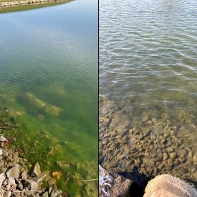 Image showing  Healthy Ponds AquaSpherePRO Pond Treatment, 500,000 gal., 6 in. Diameter