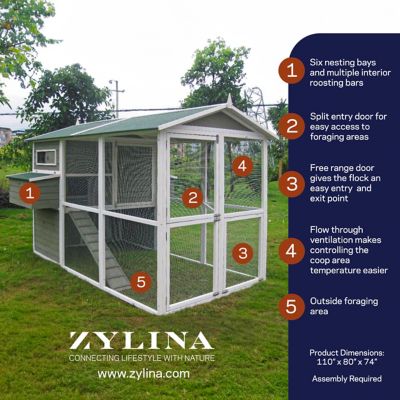 Image showing  Big Green Chicken Coop with White Trim, 12 Chicken Capacity