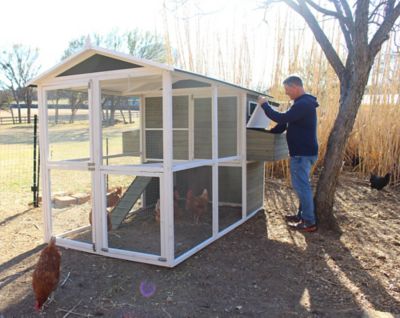 Image showing  Big Green Chicken Coop with White Trim, 12 Chicken Capacity