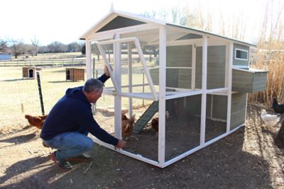 Image showing  Big Green Chicken Coop with White Trim, 12 Chicken Capacity