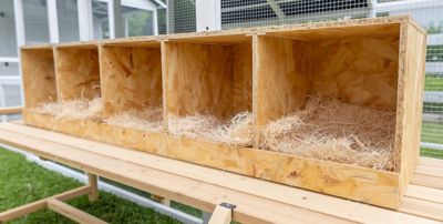 Image showing  5-Compartment Best Rest Nesting Box Wood