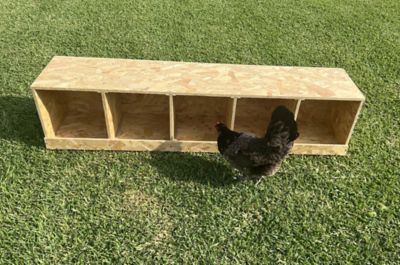 Image showing  5-Compartment Best Rest Nesting Box Wood