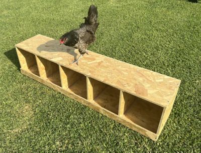 Image showing 5 th Zylina 5-Compartment Best Rest Nesting Box Wood