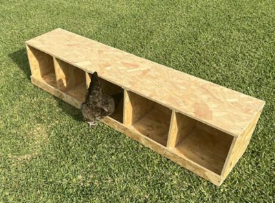 Image showing 6 th Zylina 5-Compartment Best Rest Nesting Box Wood