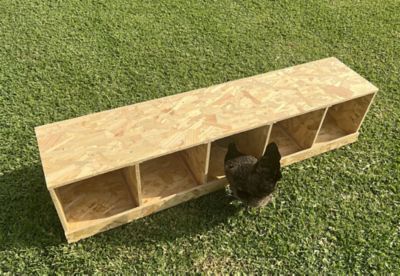 Image showing 7 th Zylina 5-Compartment Best Rest Nesting Box Wood