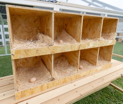 Image showing  8-Compartment Best Rest Nesting Box 4 x 2 Wood