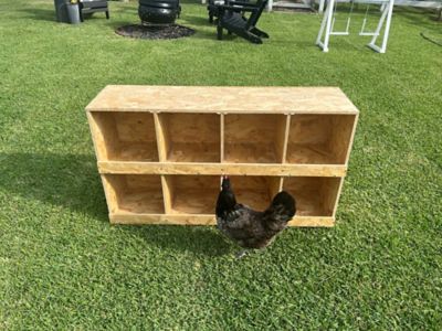 Image showing  8-Compartment Best Rest Nesting Box 4 x 2 Wood