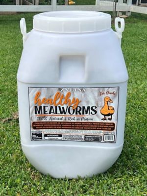 Zylina Healthy Mealworms For Ducks