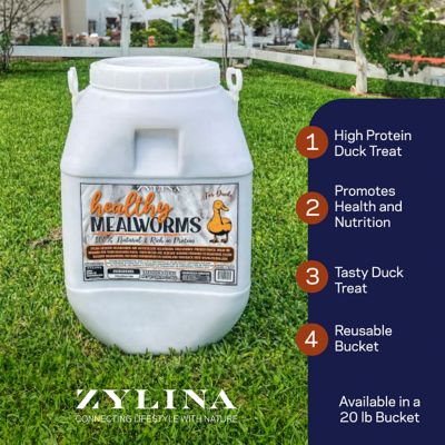 Image showing  Healthy Mealworms For Ducks