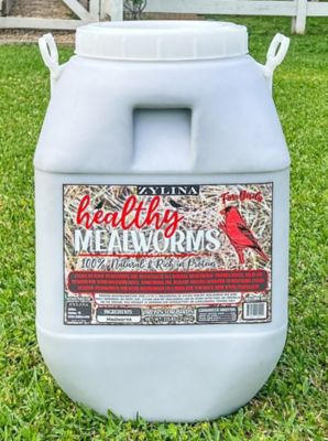 Zylina Healthy Mealworms For Wild Birds