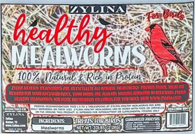 Image showing  Healthy Mealworms For Wild Birds