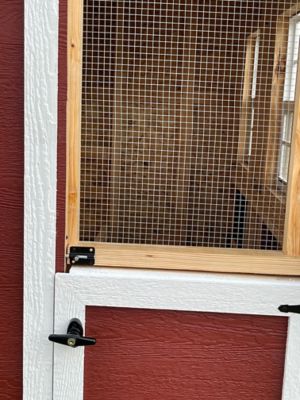 Image showing 9 th OverEZ Walk-In Chicken Coop, 18 Chicken Capacity