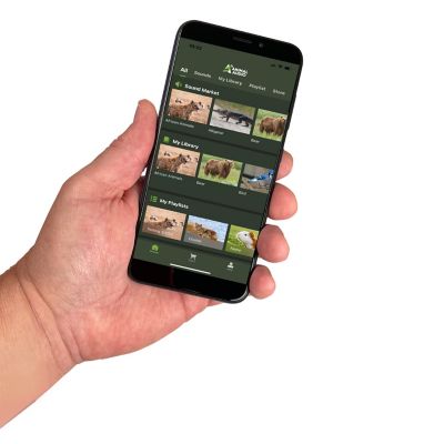 Image showing  Rascal Bluetooth Predator Call