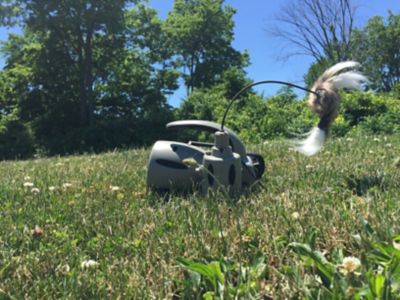 Image showing 7 th ICOtec 320 Plus Predator Call/Decoy Combo with Bluetooth