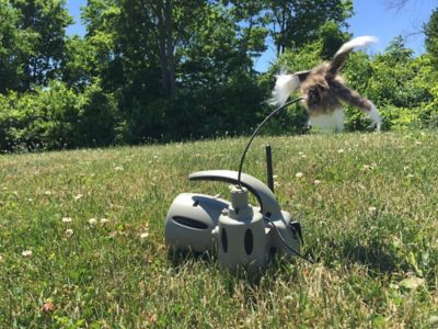 Image showing 8 th ICOtec 320 Plus Predator Call/Decoy Combo with Bluetooth