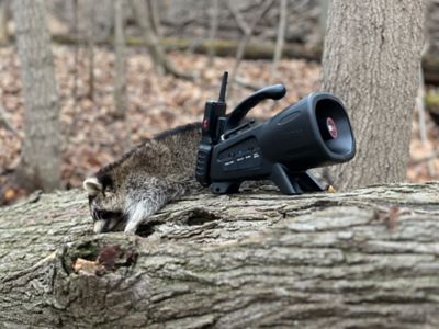 Image showing  Night Stalker Plus Professional Predator Call with Bluetooth