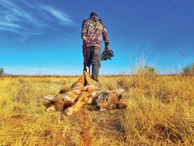 Image showing 9 th ICOtec Outlaw Plus Professional Predator Call/Decoy Combo with Bluetooth