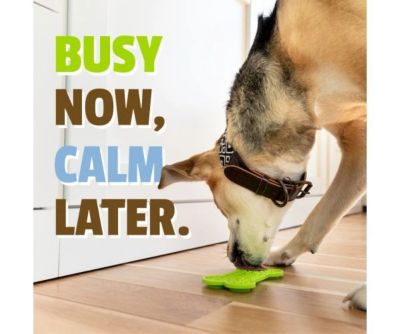 Image showing  BusyButter Calming Supplement
