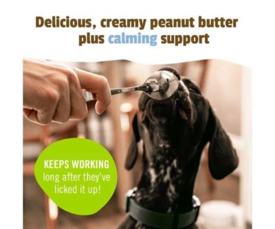 Image showing  BusyButter Calming Supplement