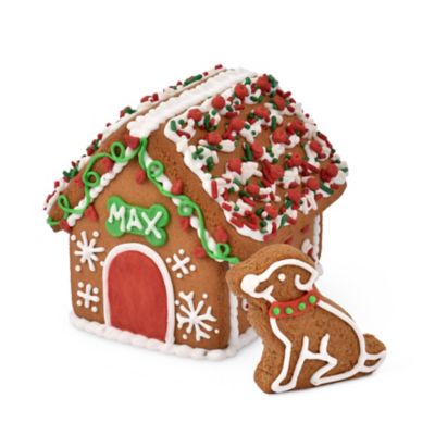Crafty Cooking Kit Dog House Gingerbread Kit