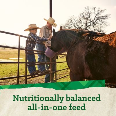 Image showing 7 th Nutrena Triumph 12% Complete Pelleted Horse Feed, 50 lb. Bag