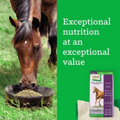 Image showing 8 th Nutrena Triumph 12% Complete Pelleted Horse Feed, 50 lb. Bag