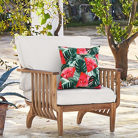 Outdoor Decor by Commonwealth Summer Fun Watermelons Outdoor Decorative Pillow 16 x 16 in., Multi