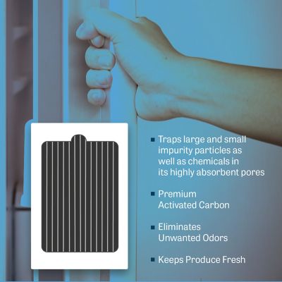 Image showing  Fresh Replacement Frigidaire Pure Air Ultra PA ultra Electrolux Eafcbf Air Filter, 2-Pack