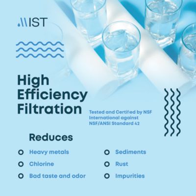 Image showing 5 th Mist Faucet Filtration System in Stainless Steel, Activated Carbon Fiber, 320 gal. Capacity