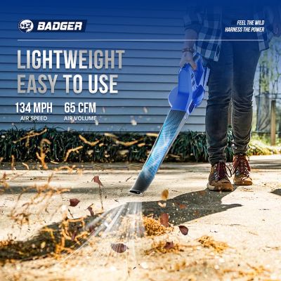 Image showing  20V 10 in. String Trimmer and Sweeper Blower, Includes (2) 2.0 Ah Batteries and Clip-on Charger, 2 pc.