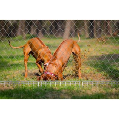 Image showing  16.25 in. Gapgard Pet Fence, 12-Pack