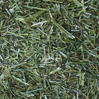 Image showing  PremiYum Western Alfalfa Hay Small Animal Treat, 12 lb. Box