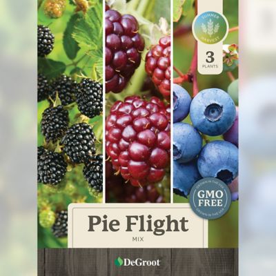 Image showing  Pie Flight Plant Mix