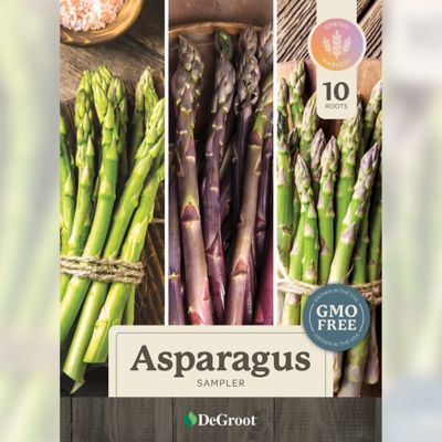 Image showing  Asparagus Sampler