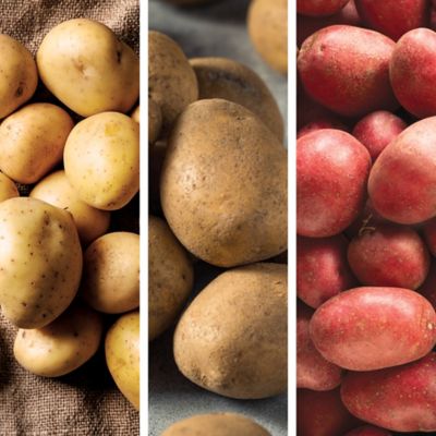 DeGroot Bushel of Potatoes
