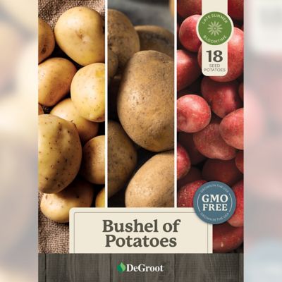 Image showing  Bushel of Potatoes