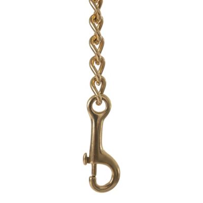 Image showing  Leather Brass Lead Chain, Brown, 6 ft.