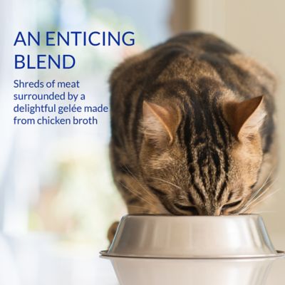 Image showing  Churu Chicken and Tuna Stew Lickable Cat Treat