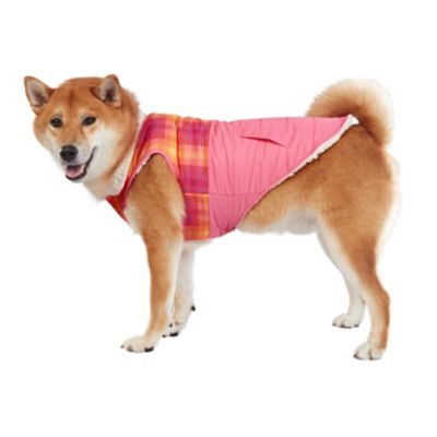Image showing 6 th Best Furry Friends Ombre Graphic Pet Coat