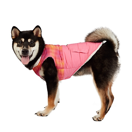 Best Furry Friends Ombre Graphic Pet Coat