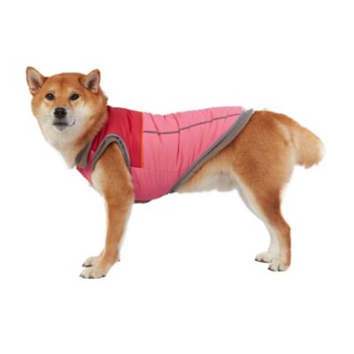 Image showing  2 Layered Pet Coat