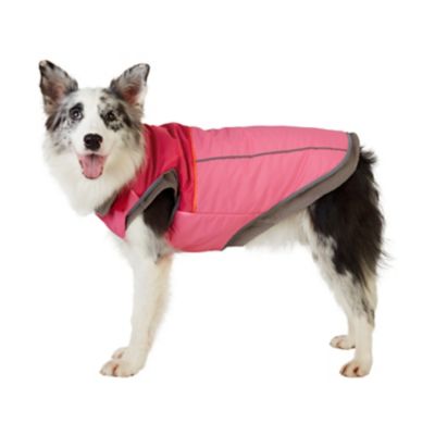 Image showing  2 Layered Pet Coat