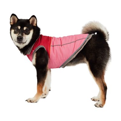 Image showing  2 Layered Pet Coat