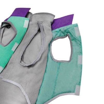 Image showing 5 th Best Furry Friends 2 Layered Pet Coat