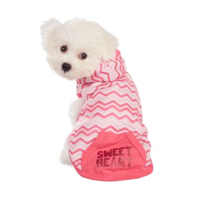 Best Furry Friends Sweetheart Pet Hoodie